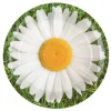 à prix réduits Lot De 10 Assiettes En Carton Marguerite D 22,5 Cm 7