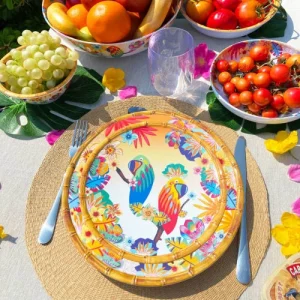 magasins pour Les Jardins De La Comtesse Petite Assiette En Mélamine Motif Perroquet Sur Dégradé Orange Ø 23 Cm 6